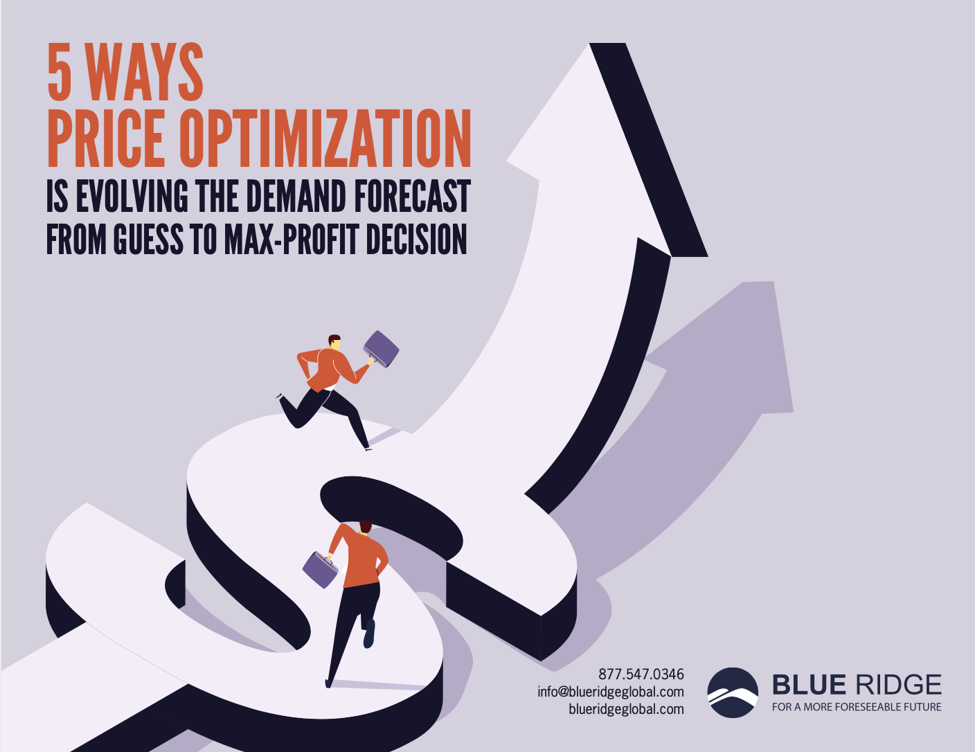 price-optimization-datasheet