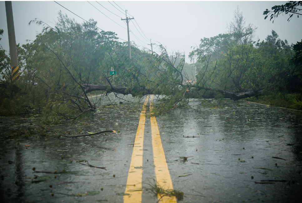 hurricane-disaster-response-preparedness-supply-chain